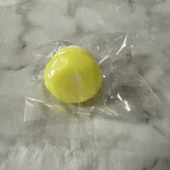 セカライ　リングライト　レン　LEN