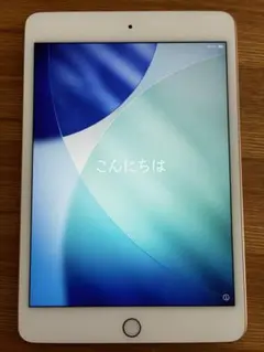 iPad mini 5 64GB Wi-Fiモデル 本体 動作確認済 初期化済 - メルカリ