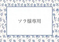 ソラ様専用 ハートチューリップ ヌビ 片面フリル付きレッスンバッグ ピンク