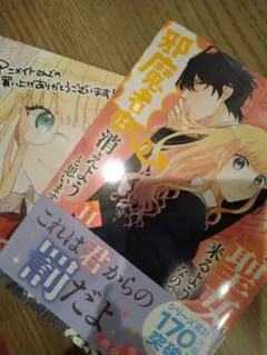 momoka様 リクエスト 2点 まとめ商品