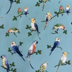 鳥　バード　インコ柄　オックス生地　１m