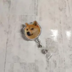 愛犬家必見⭐️柴犬アクリルカードキーホルダー リール付き