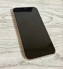 Apple iPhone 12 Pro ゴールド 本体のサムネイル
