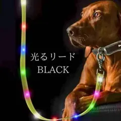 Item thumbnail for item 42887adb-68c6-4338-b2fc-0c7964b789f5