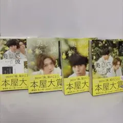 美しい彼 小説 全4巻
