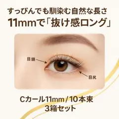 Item thumbnail for item c225bd71-4215-485d-9635-1ef189286198