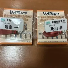 ハイキュー チャーム付きネームバッチコレクション 及川徹 岩泉一