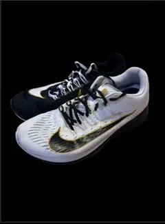 初代zoom Fly ミスマッチ