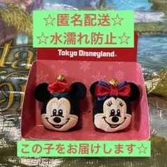 ディズニー クリスマス 2025 リング ミッキー ミニー