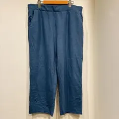 ゆったり XL/3L カジュアルパンツ ブルー ルームウェア ウエストゴム