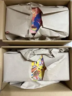 ポケモンセンター スペシャルBOX トウホク ヒロシマ 2種セット