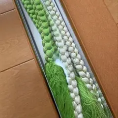 Item thumbnail for item 2b4b8735-ffa5-426a-baa3-669c0352f049