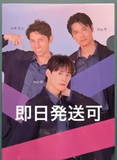 SHOW-WA 向山毅 レフィーネ 非売品 クリアファイル 新品未使用