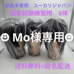 新品未開封 美容師国家試験練習用 ウィッグ ユーカリジャパン 1124L 4