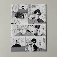 愛の温度でとかしたい　コミコミ特典リーフレット　Hiカロリー