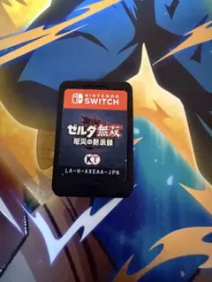 ゼルダ無双 厄災の黙示録 Nintendo Switch