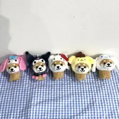 即購入OK】旅するマメしば まめた × サンリオ キティ クロミ シナモロール