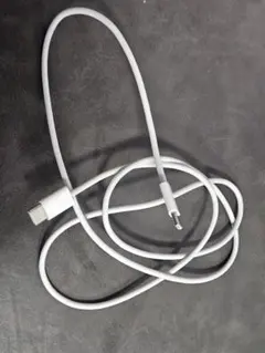 Apple純正USB-C to USB-Cケーブル 1m