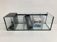 追加1台 特注ガラス水槽 600×200×200 4室 ポンプ付き 未使用 - メルカリ