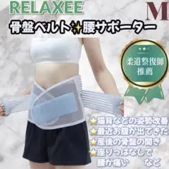 Item thumbnail for item 93fc8af4-a48d-4649-a8b9-2fe2cb473ce6