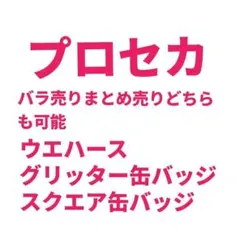 プロセカ まとめ売り バラ売り ウエハース 缶バッジ