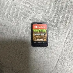 Nintendo Switch マインクラフト ソフトのみ