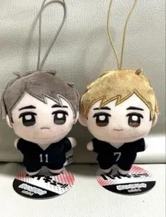 ハイキュー ぬいぷりけmini 2種セット
