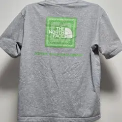 Item thumbnail for item 2bcf95df-0075-4046-967c-658ceea579fa