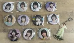 乃木坂46 中西アルノ 缶バッジ全11種・アクリルキーホルダー1種まとめ売り