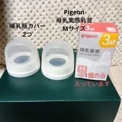 Item thumbnail for item c0f17c5e-44ba-43d7-a64f-171af0bfb5f9