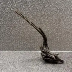 スマトラウッド 流木 アクアリウム レイアウト素材　33×11×15