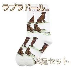 ラブラドールレトリバー 靴下 レディース 犬ソックス 3足組