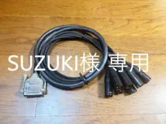 Item thumbnail for item c413fb04-4464-4f3a-a23b-dc50ae1c8dd6