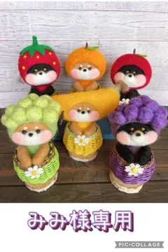 羊毛フェルト みみ様専用ページ