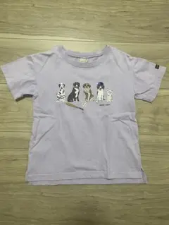 petit main Tシャツ 110