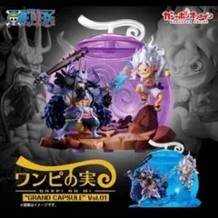 ワンピの実 GRAND CAPSULE Vol.01 ノーマルカラー 未開封