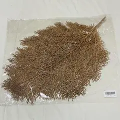 Item thumbnail for item ffeccb71-dc26-4992-98f3-855e4f42b60c