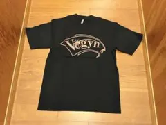 PLZ Make It RuinsのVegyn Tシャツ