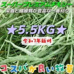 ★SPチモシー1番刈 5.5kg ◼︎小動物 ペットフード 牧草 うさぎ おやつのサムネイル