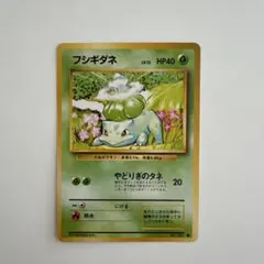 フシギダネ ● 第1弾拡張パック 旧裏