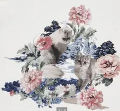 UNIQLOポール&ジョーUTグラフィックTシャツ（半袖•レギュラーフィット）