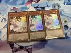 灰流うらら　はるうらら　スーパー　3枚