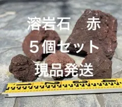 溶岩石　赤　スコリア 天然石 ドライガーデン みかも石 サボテン アクアリウムのサムネイル