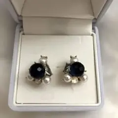 #ピアス#両耳#ネイビー#パール#ゴールド