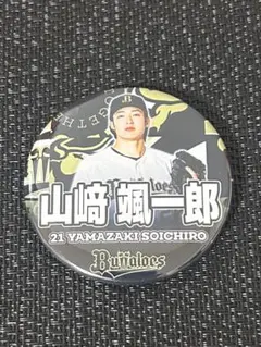 ☆杏奈d=(^o^)=b様 リクエスト 2点 まとめ商品