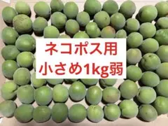 山梨県産南高梅入り 無農薬　ネコポス1kg弱のサムネイル