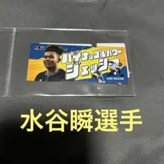 FAV限定❗️ファイターズ 推し選手フェイスタオルステッカー　水谷瞬選手