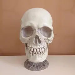 ドクロ 骸骨 インテリア オブジェ アンティーク 置物 骨 ホラー ロック