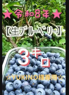 ☆令和8年 生ブルーベリー☆農薬不使用 3㌔ YUKINO様専用