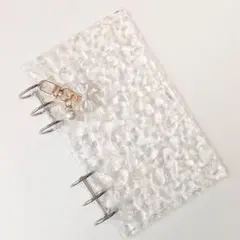 Item thumbnail for item 10c0ee99-9265-4bdd-ad3d-c9e8c2aeddef